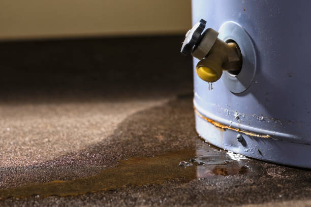 Best Flood restoration services  in Wfield, IN