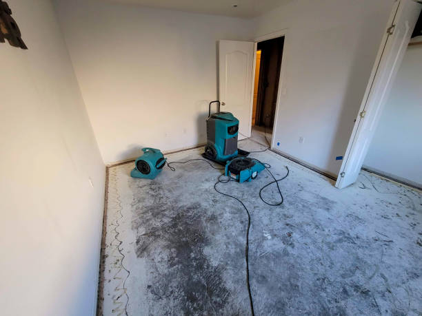 Water damage restoration mold remediation in IN