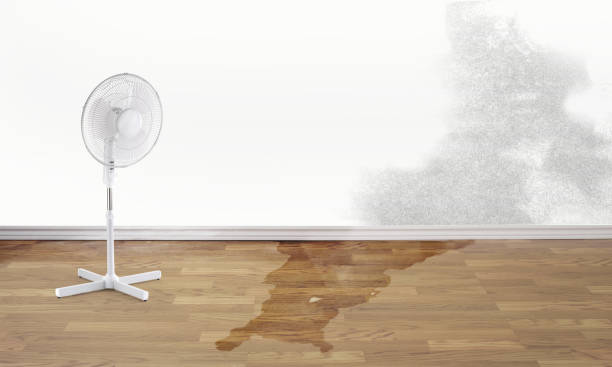 Best 24-hour water damage restoration  in Wfield, IN