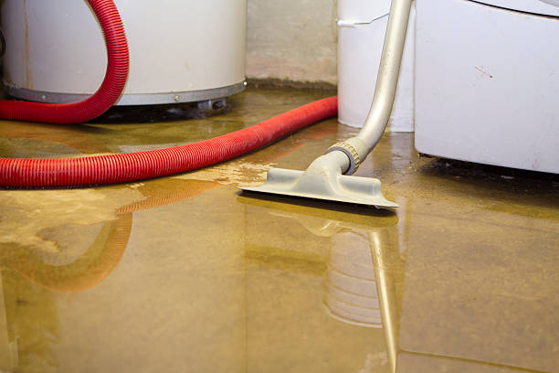 Best Basement water damage restoration  in Wfield, IN