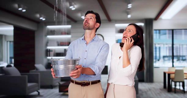 Best Water damage contractors near me  in Wfield, IN